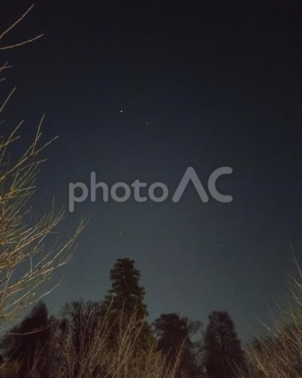 夜の森から見える星空 夜空,空,夜の空の写真素材