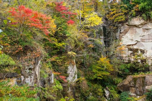 秋の磊々峡(42) 秋,紅葉,磊々峡の写真素材