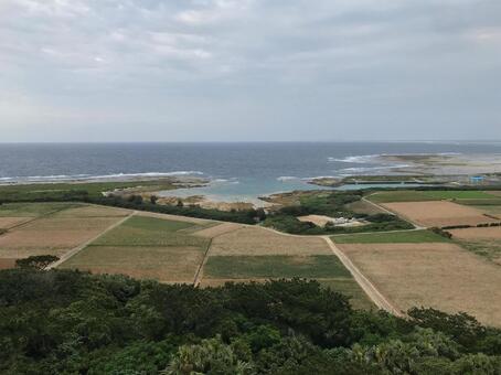 畑と海の眺望 畑,海,農地の写真素材