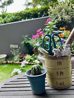 かわいいガーデニング雑貨とサボテン かわいいガーデニング雑貨とサボテン ガーデニング,ガーデン雑貨,園芸の写真素材
