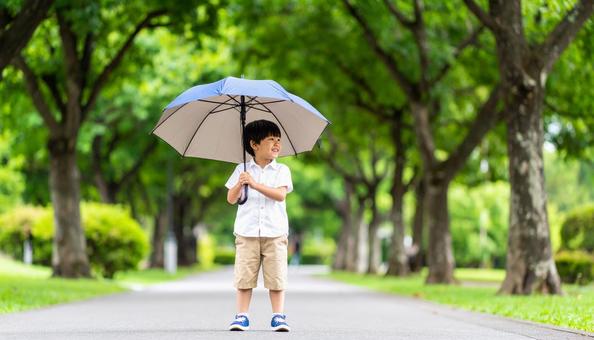 雨上がりの公園で傘を持って公園で散歩する 雨上がりの公園で傘を持って公園で散歩するの写真