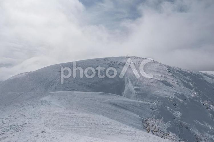 森林限界を越えて 銀杏峰,山頂,雪山の写真素材