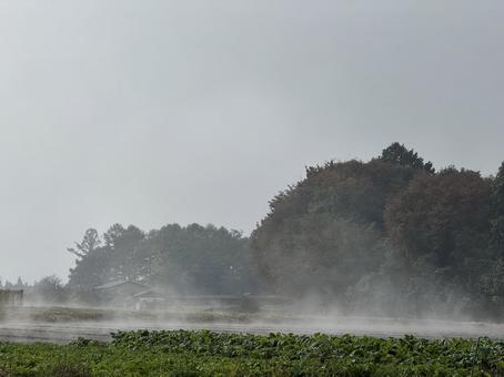 晩秋のけあらし 蒸気霧,気嵐,気象現象の写真素材