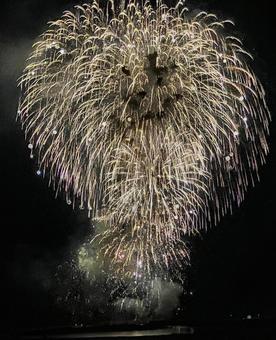 花火4の写真
