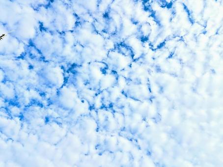 白い雲の中からのぞく青空 白い雲の中からのぞく青空の写真