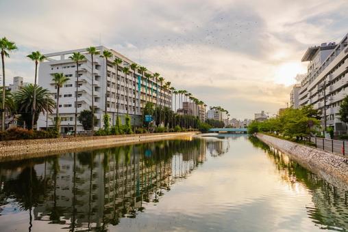 【高知】高知市の街並み 2025 【高知】高知市の街並み 2025の写真