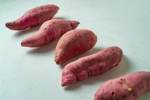 並べたサツマイモ 並べたサツマイモの写真