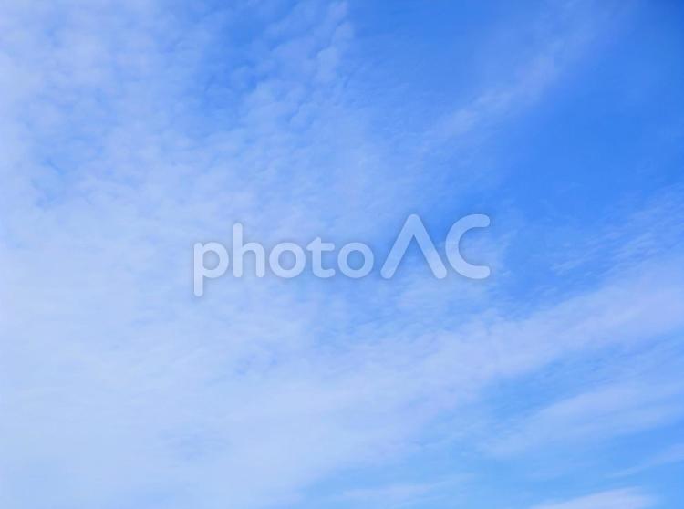 【空の写真】やさしい青空 青空,やさしい,穏やかの写真素材