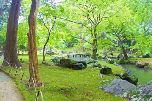 [三重県]津市美杉町の多気北畠氏城館跡 多気,北畠,城館の写真素材