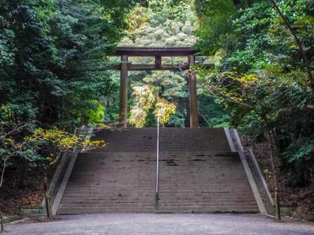 【滋賀県】大津市・近江神宮 近江神宮,大津市,鳥居の写真素材