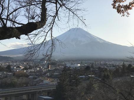 新倉山 新倉山 富士山,五重塔,新倉山浅間神社の写真素材