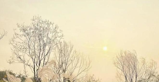 朝もやのイメージの写真