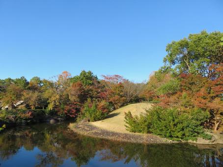 秋の公園 秋の公園 公園,秋,10月の写真素材