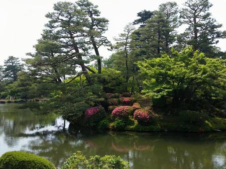 庭園 庭園 庭園,庭,和風の写真素材