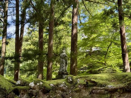 2025年夏の永平寺　木陰の仏像 木陰,仏様,永平寺の写真素材