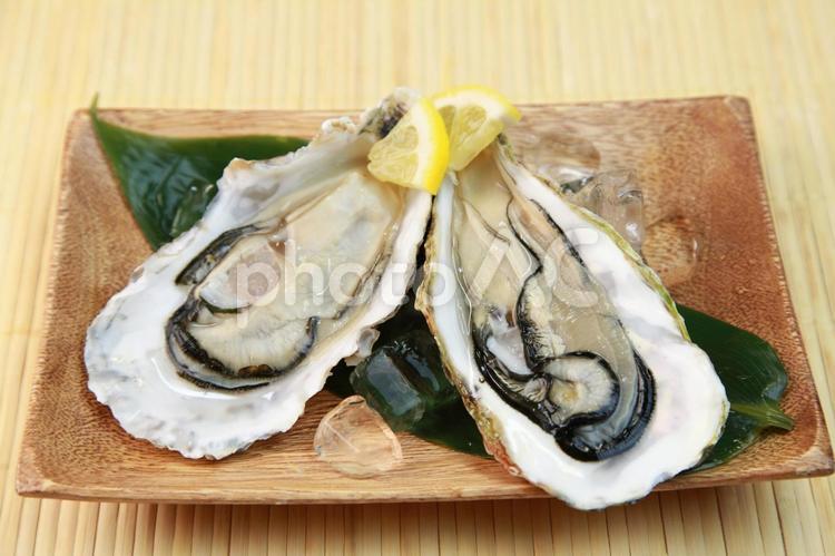 牡蠣 生牡蠣,牡蠣,むき身の写真素材