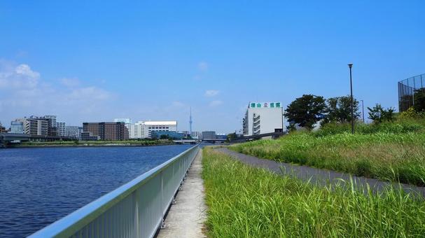 夢の島公園・散歩道&スカイツリー・江東区 夢の島公園・散歩道&スカイツリー・江東区の写真