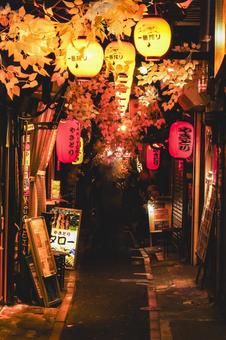 Omoide Yokocho Yanagi Street, JPG Omoide Yokocho Yanagi Street, JPG
