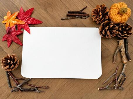 紅葉と木の実の秋フレーム 秋,紅葉,もみじの写真素材