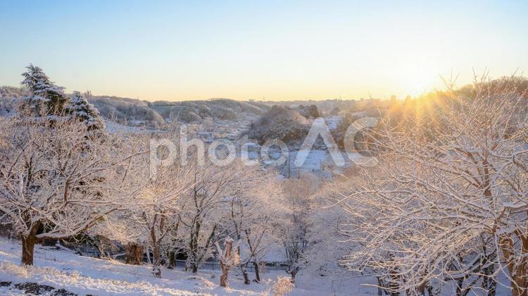 日本東京の冬の雪景色と朝日 ゆき,冬,寒いの写真素材