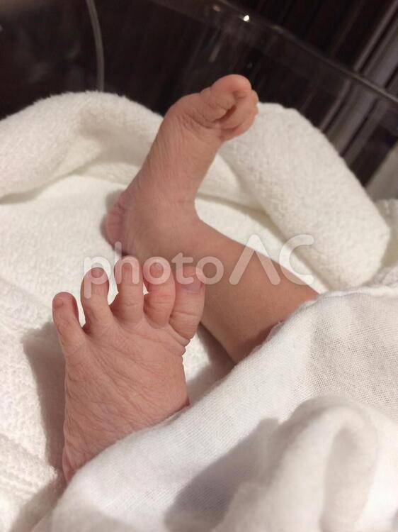 産まれて間もない赤ちゃんの足 新生児,足,赤ちゃんの足の写真素材