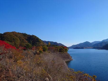 宮ケ瀬湖の紅葉と湖　神奈川県 湖,紅葉,秋の写真素材
