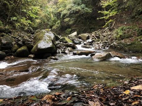 渓流1の写真