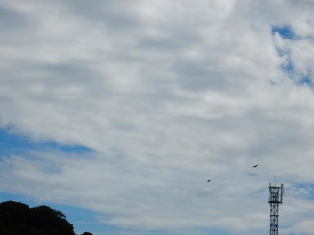 【空の写真】夏空 【空の写真】夏空の写真