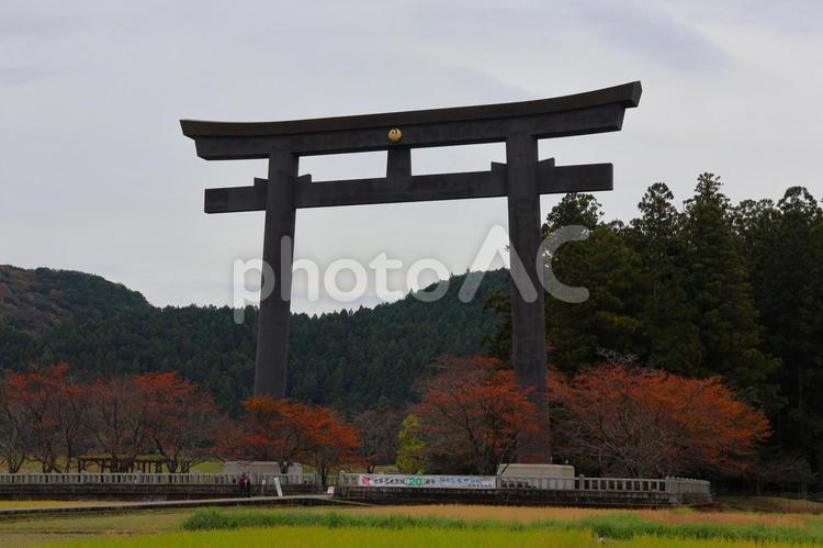 １１月中旬の熊野本宮大社の大鳥居の風景 背景,大鳥居,鳥居の写真素材