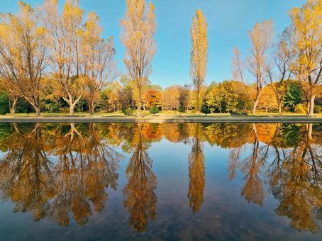 紅葉の季節 リフレクション 秋,紅葉,秋景色の写真素材
