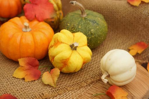 ハロウィン いろいろなカボチャを飾って ハロウィン いろいろなカボチャを飾って ハロウィン,ハロウィンのイメージ,カボチャの写真素材