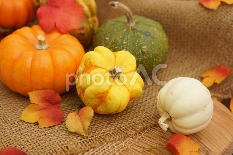 ハロウィン　いろいろなカボチャを飾って ハロウィン,ハロウィンのイメージ,カボチャの写真素材