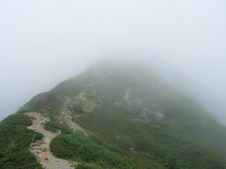 霧がかる仙丈ヶ岳の登山道 霧がかる仙丈ヶ岳の登山道の写真