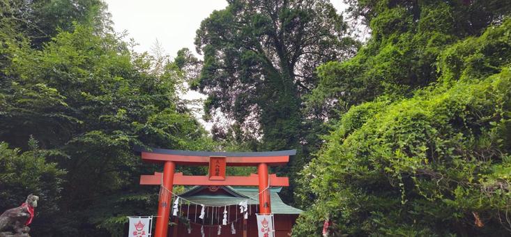 三八稲荷神社 三八稲荷神社 稲荷,三八稲荷神社,須賀川の写真素材