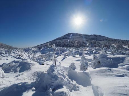 雪景色・冬の北横岳坪庭 雪景色・冬の北横岳坪庭 北横岳,八ヶ岳,北八ヶ岳の写真素材