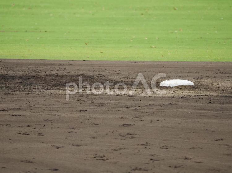 野球場　2塁　内野　外野　芝生　 高校野球,コピースペース,甲子園の写真素材