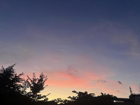 夕焼け空と木々のシルエット 夕焼け空と木々のシルエットの写真