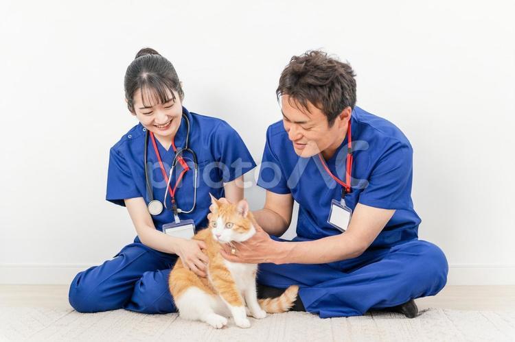猫を抱く動物病院の男女の獣医師 獣医,動物病院,獣医師の写真素材