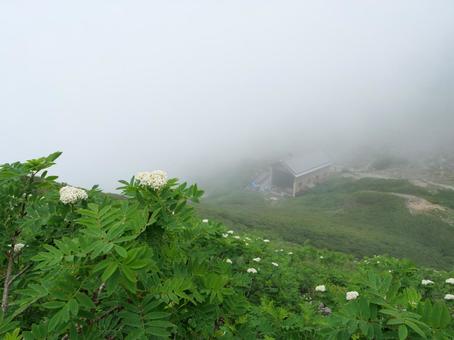 仙丈カールと仙丈小屋 仙丈カールと仙丈小屋 カール,圏谷,仙丈小屋の写真素材