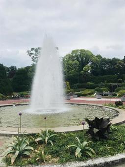 風景 風景の写真