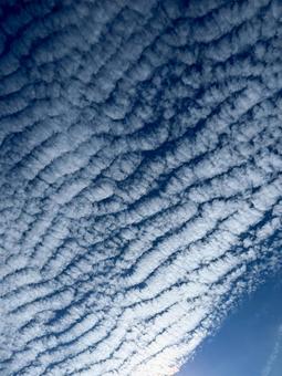 波模様の幻想的なうろこ雲の空 波模様の幻想的なうろこ雲の空の写真
