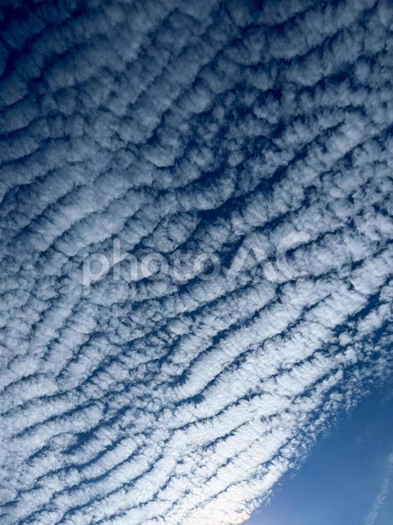 波模様の幻想的なうろこ雲の空 空,青空,背景の写真素材