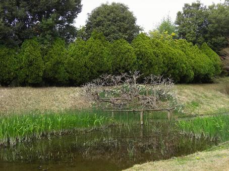清水公園の風景-4 清水公園の風景-4の写真
