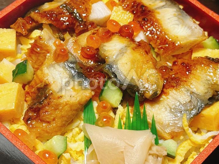 ウナギのちらし寿司 ちらし寿司,うなぎ,鰻の写真素材