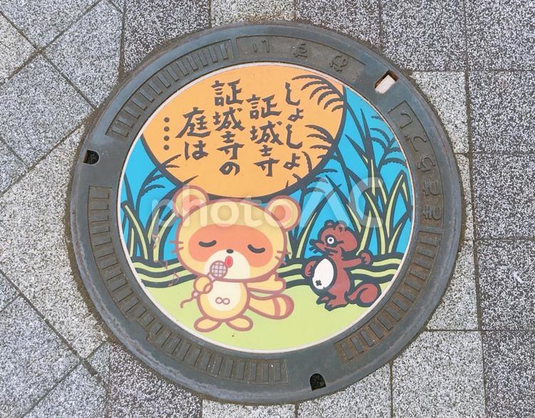 マンホール マンホール,デザインマンホール,橋の写真素材