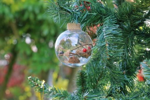 クリスマスの飾り クリスマスの飾り クリスマス,冬,クリスマスツリーの写真素材