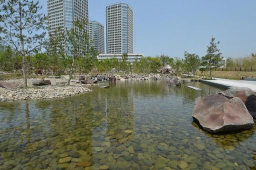 日本庭園帰真園の池 日本庭園帰真園の池 二子玉川公園,公園,日本庭園の写真素材