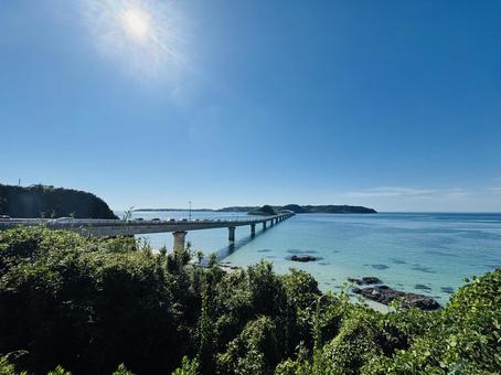 角島大橋 角島大橋の写真