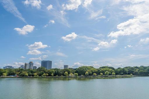 自然あふれる大濠公園 自然あふれる大濠公園 大濠公園,公園,博多の写真素材