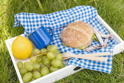 トレイの上のフルーツや青いマグ 食べ物,ピクニック,フルーツの写真素材